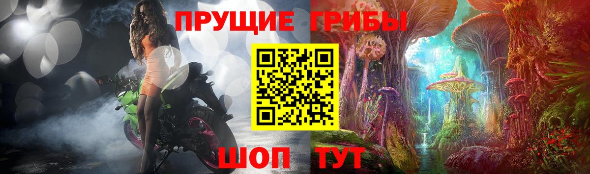 цена   Галлюциногенные грибы Magic Shrooms  Псилоцибиновые грибы мухоморы  Вход с VPN  Борзя 